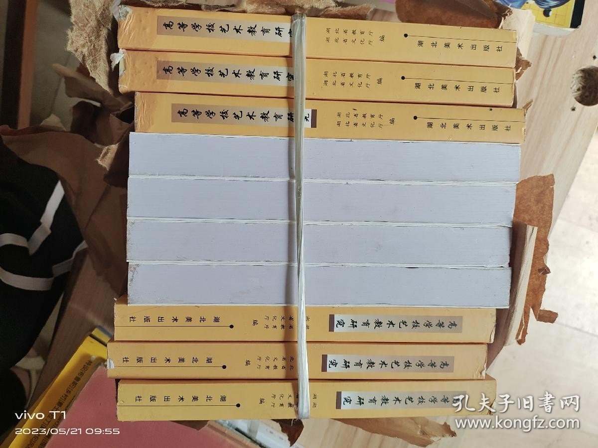 高等学校艺术教育研究 /主编杨建滨 湖北美术出版社