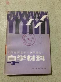 小学教师进修《中师语文》自学材料