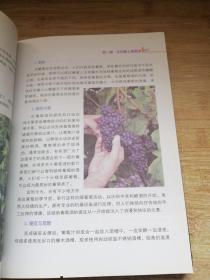 葡萄酒：上帝的眼泪