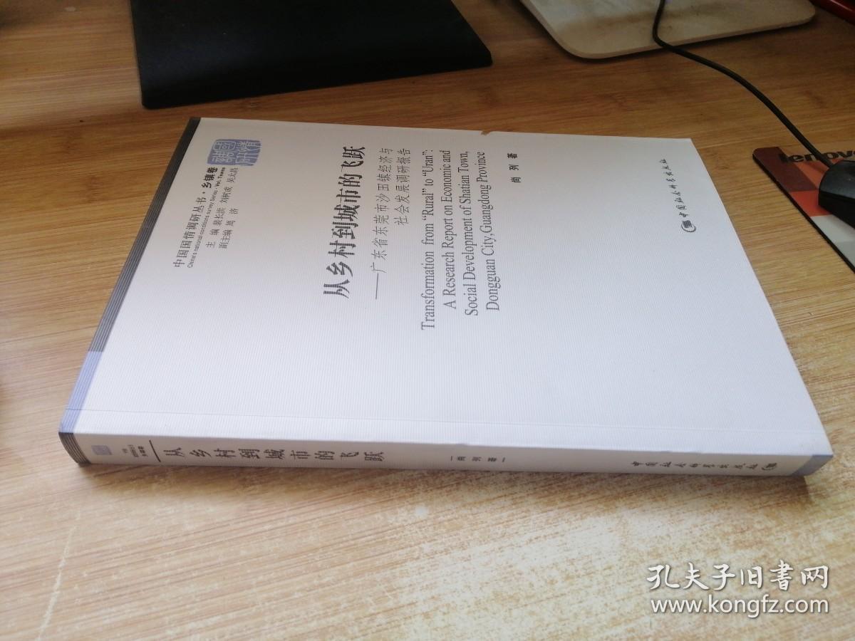 从乡村到城市的飞跃：广东省东莞市沙田镇经济与社会发展调研报告
