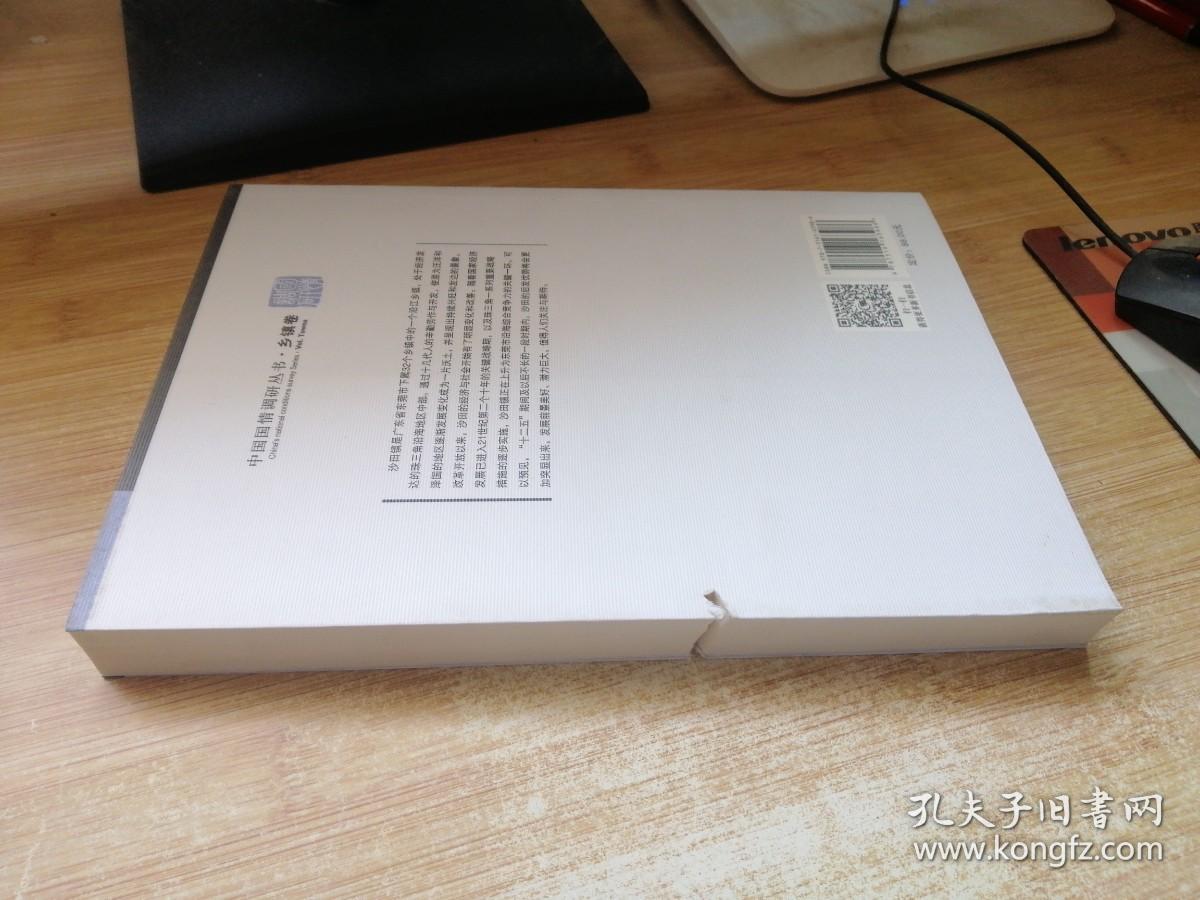 从乡村到城市的飞跃：广东省东莞市沙田镇经济与社会发展调研报告