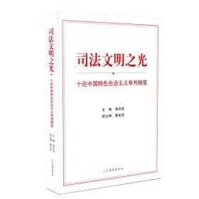 司法文明之光（十论中国特色社会主义审判制度）