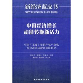 中国经济增长动能转换新活力：中国（上海）知识产权产业化综合改革试验区战略研究