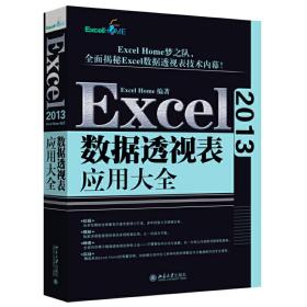 Excel 2013数据透视表应用大全