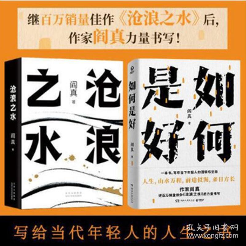 阎真作品集2册套装：如何是好+沧浪之水