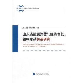 山东省能源消费与经济增长、结构变动关系研究