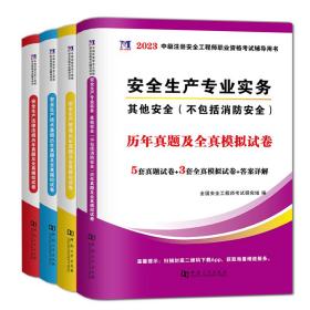 安全工程师资格考试2022历年真题及全真模拟试卷（全套4册）：其他安全