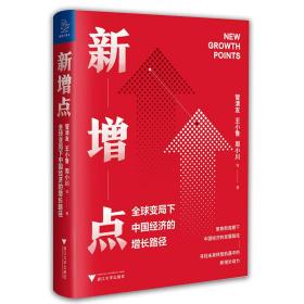 新增点：全球变局下中国经济的增长路径