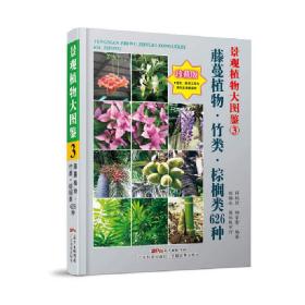 景观植物大图鉴（3）藤蔓植物、竹类、棕榈类626种