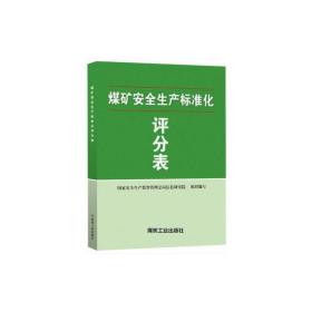 煤矿安全生产标准化评分表