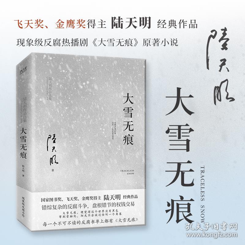 大雪无痕（飞天奖、金鹰奖得主陆天明经典作品，现象级电视剧《大雪无痕》原著小说）