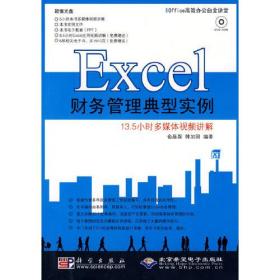 Excel财务管理典型实例(1DVD)