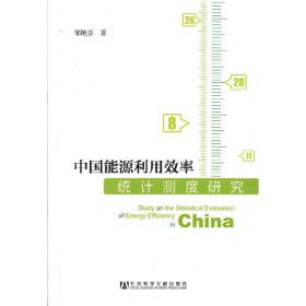 中国能源利用效率统计测度研究