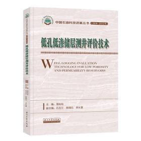 低孔低渗储层测井评价技术