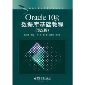 新编计算机类本科规划教材：Oracle 10g数据库基础教程（第2版）