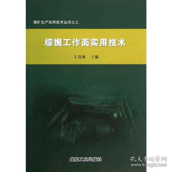 煤矿生产实用技术丛书：综掘工作面实用技术