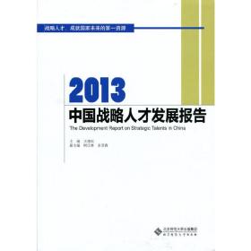 2013中国战略人才发展报告