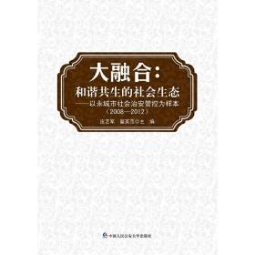 大融合：和谐共生的社会生态——以永城市社会治安防控为样本（2008-2012）