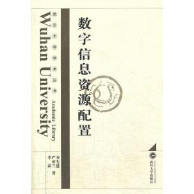 武汉大学学术丛书：数字信息资源配置