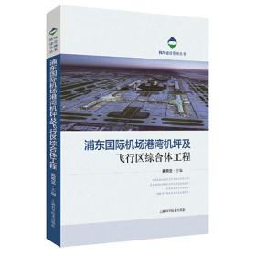 浦东国际机场港湾机坪及飞行区综合体工程