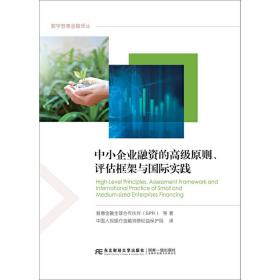 中小企业融资的高级原则评估框架与国际实践/数字普惠金融译丛