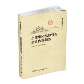 企业集团风险管控会计内部报告