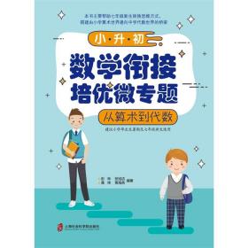 小升初数学衔接培优微专题——从算术到代数