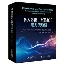 多入多出(MIMO)电力线通信