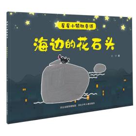 星星小镇微童话2—海边的花石头