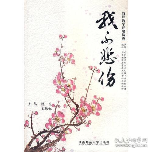 我不悲伤：教师教学环境调查