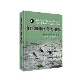 南四湖地區(qū)鳥類圖鑒