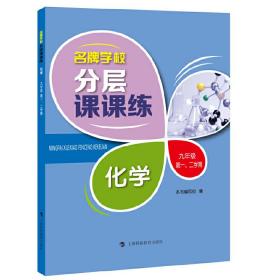 名牌学校分层课课练 化学 九年级第一、二学期