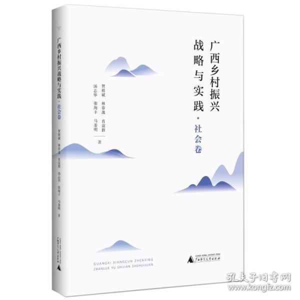 广西乡村振兴战略与实践·社会卷