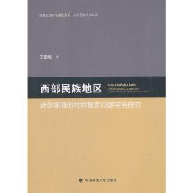 西部民族地区转型期间的社会稳定问题实务研究/北方民族大学文库