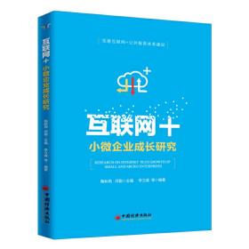 互联网+小微企业成长研究