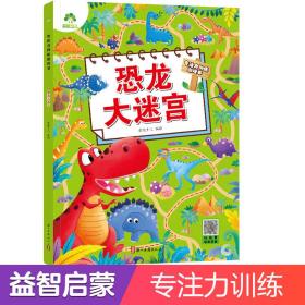 爱德少儿专注力训练游戏书恐龙大迷宫3-6岁幼儿思维训练游戏走迷宫书
