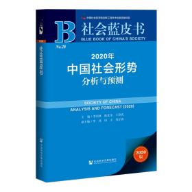 社会蓝皮书：2020年中国社会形势分析与预测