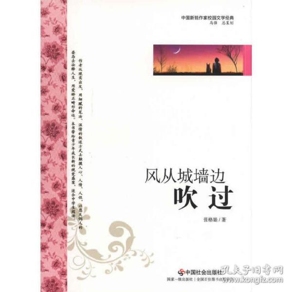 中国新锐作家校园文学经典：风从城墙边吹过