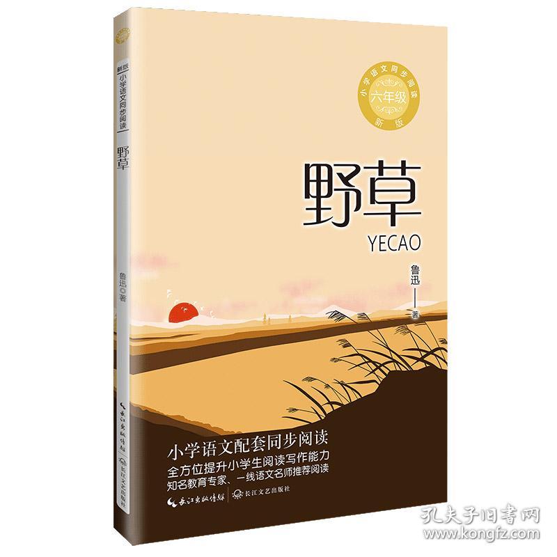 野草：课文作家作品，小学语文教材同步配套读物（六年级上册)