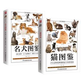 猫图鉴