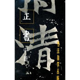 书法自学丛帖正书（中册）