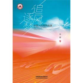 追风逐梦：中国人的高铁故事（平装）
