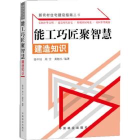 新农村住宅建设指南丛书·能工巧匠聚智慧：建造知识