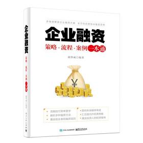 企业融资：策略·流程·案例一本通