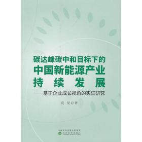 碳达峰碳中和目标下的中国新能源产业持续发展--基于企业成长视角的实证研究