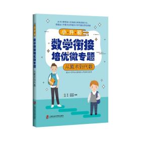 小升初数学衔接培优微专题——从算术到代数