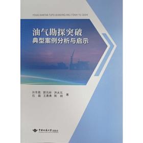 油气勘探突破典型案例分析与启示