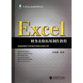 Excel财务表格拓展制作教程(孙晓鹏)