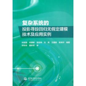 复杂系统的投影寻踪回归无假定建模技术及应用实例