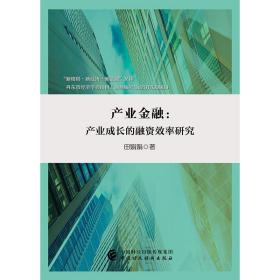 产业金融：产业成长的融资效率研究